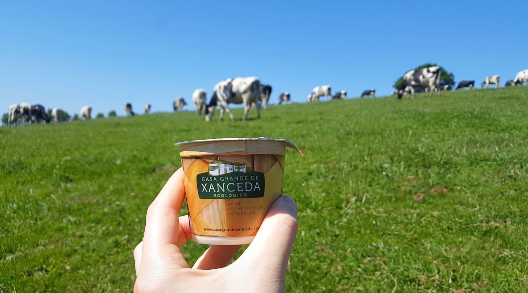 Nuestras vacas contestan a la OCU